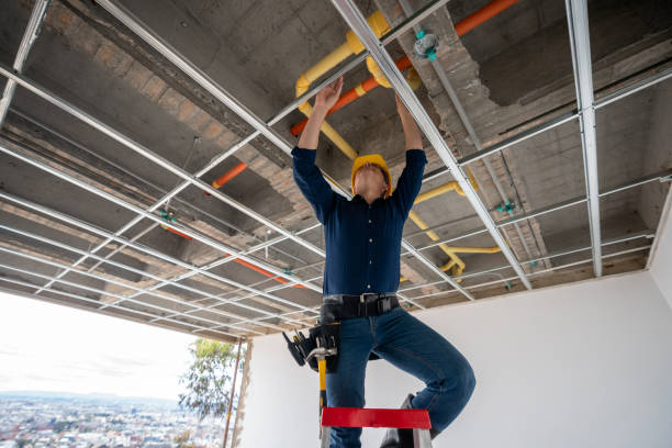 Best Emergency Plumber  in Marshfield, MO